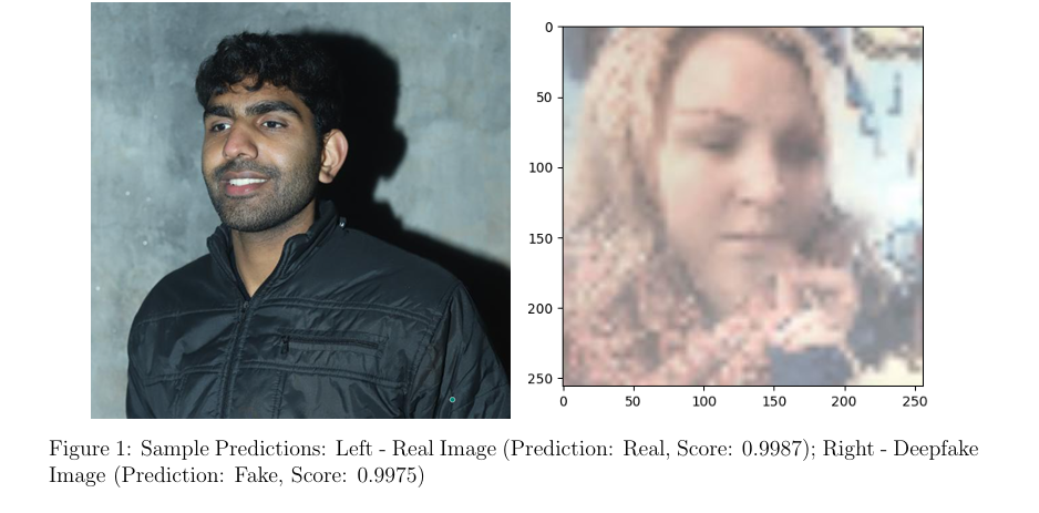 Deepfake Sample Images